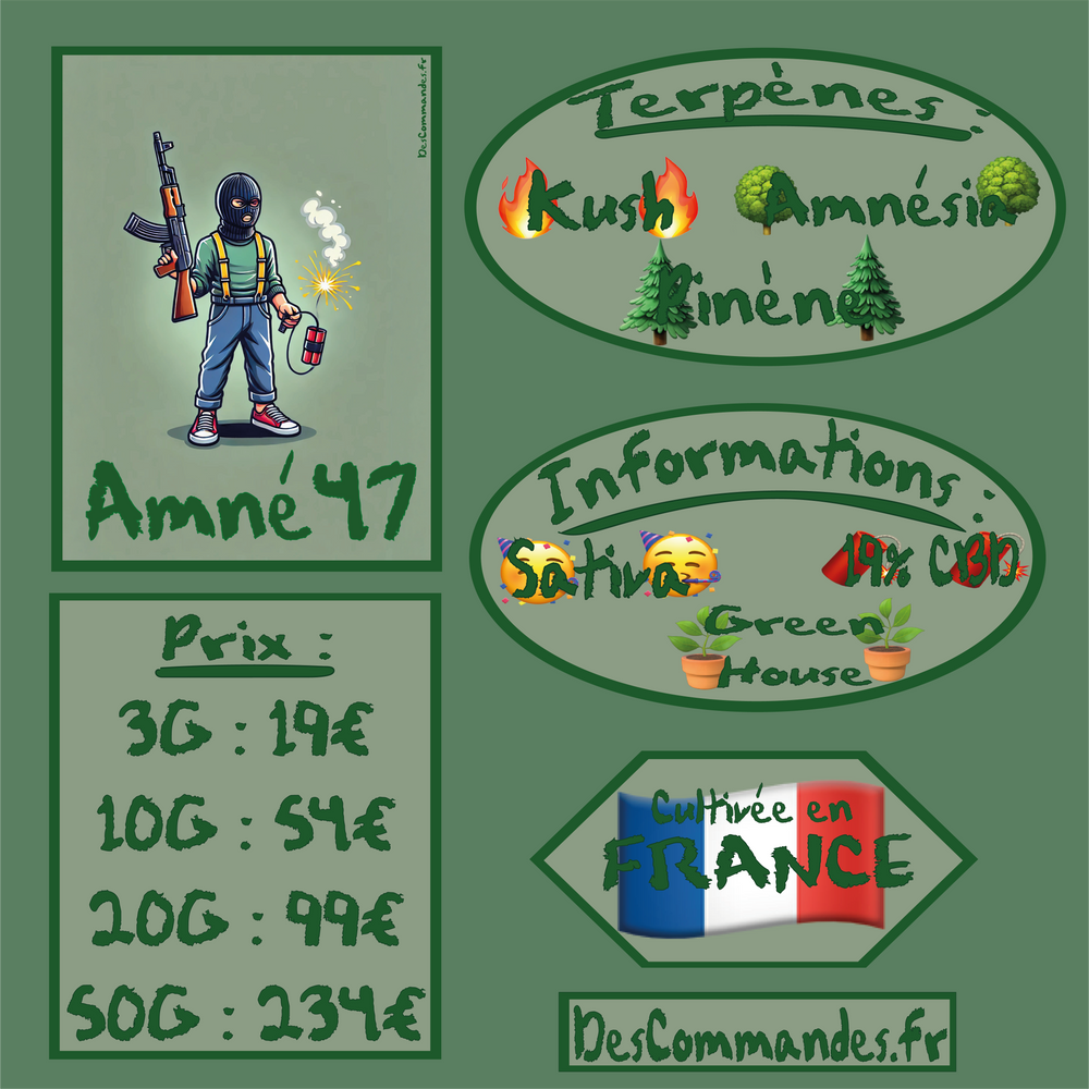 Amné-47