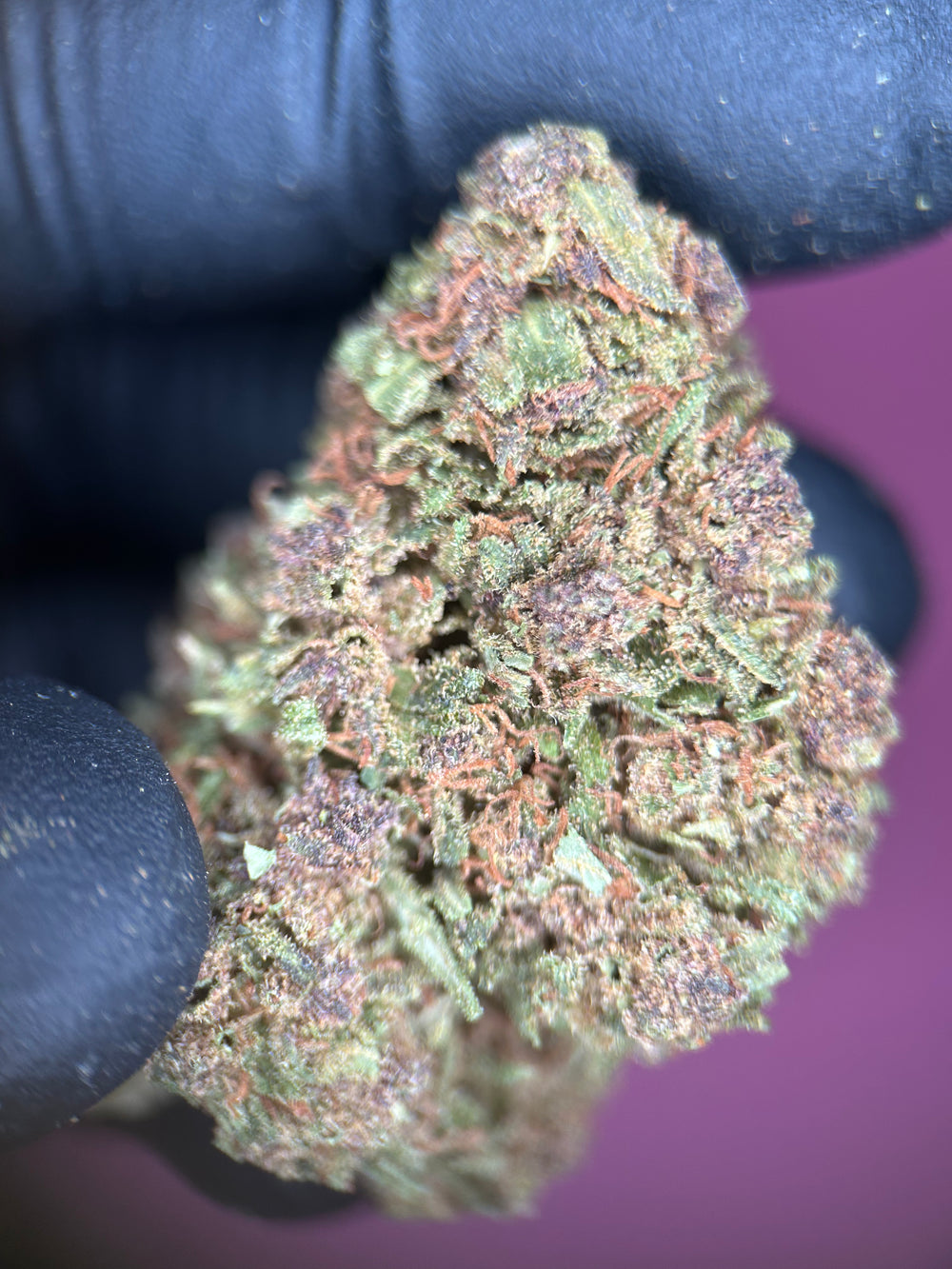 Purple Rain