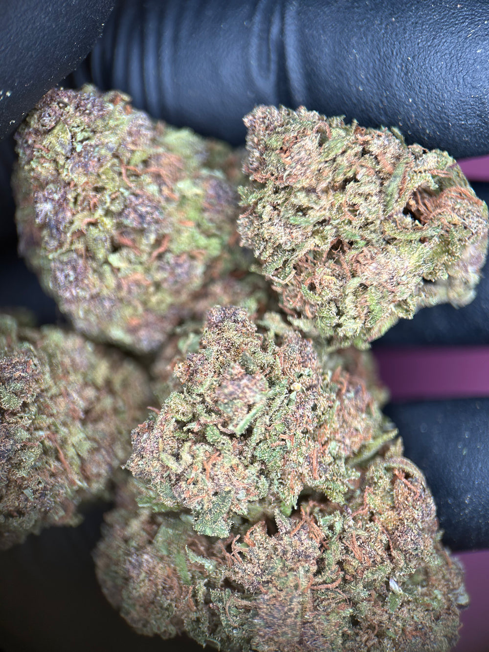 Purple Rain