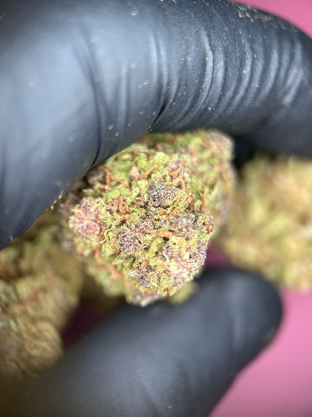 Purple Rain