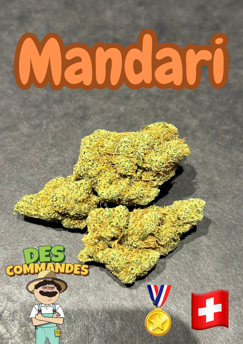 🍊Mandari 🍊