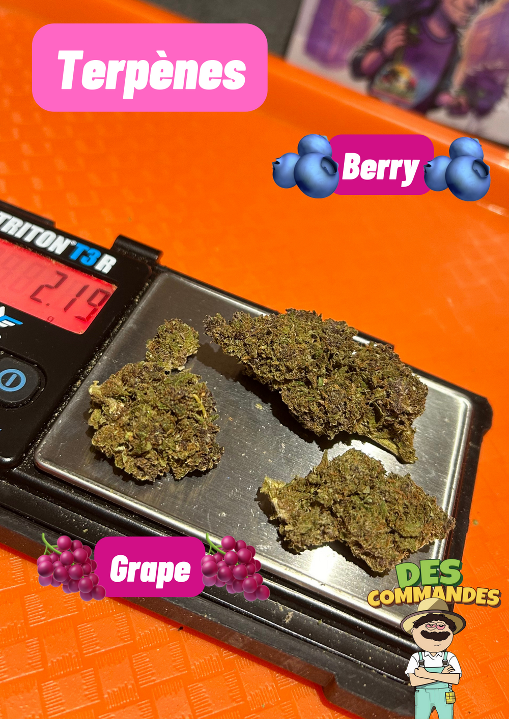 Purple Berry Kush