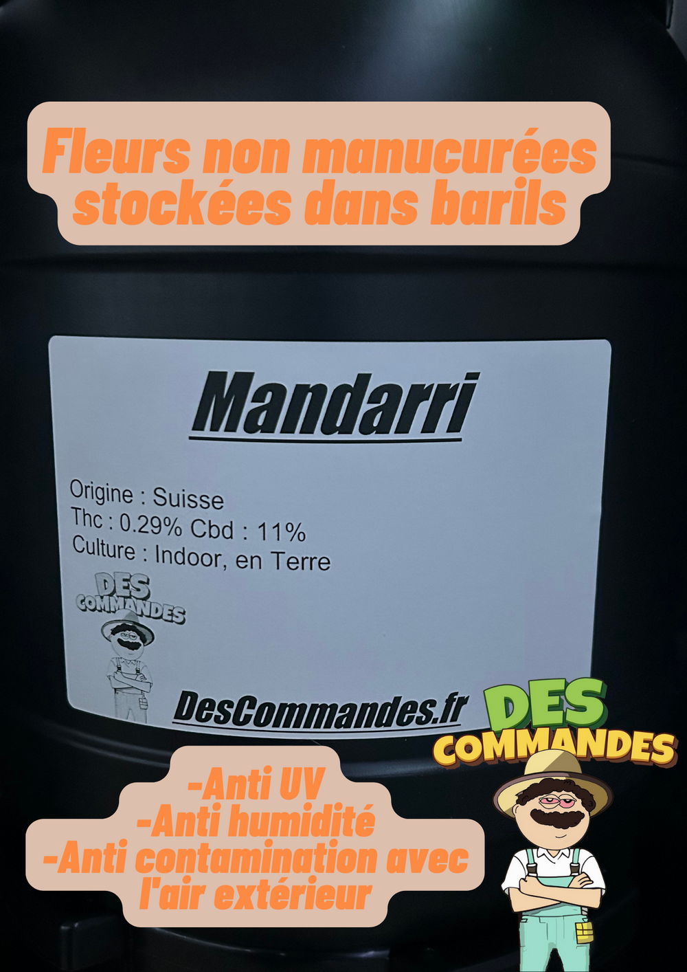 🍊Mandari 🍊