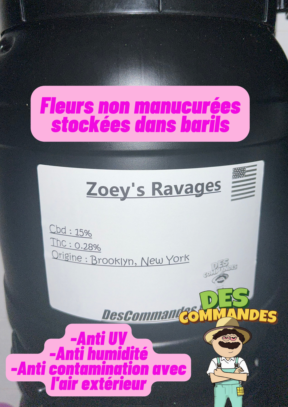 Zoey's Ravages - from New York (re stock en cours)