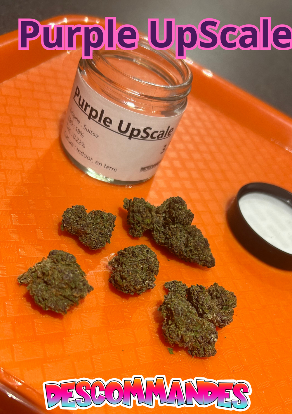 Purple UpScale 3G