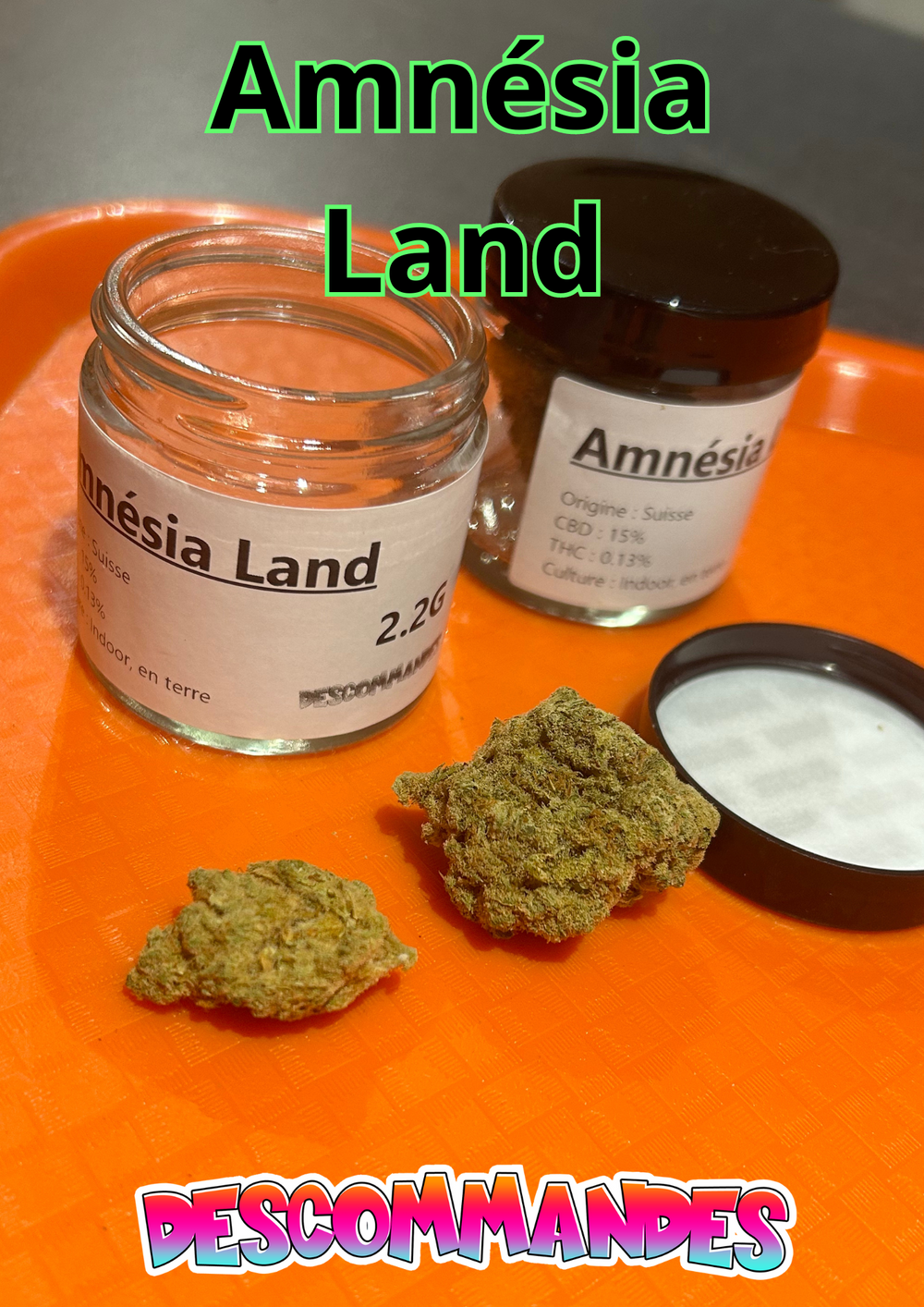 Amnésia Land 2G